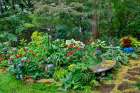 USA, Washington State, Sammamish. Garden in bloom in sunny location Art Print